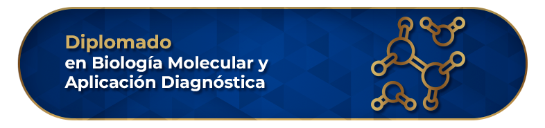 Diplomado en Biología Molecular y Aplicación Diagnóstica